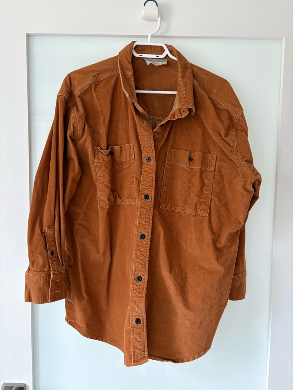 Everlane Corduroy Oversized Button-Up in Brown